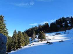 Paysage des Glières